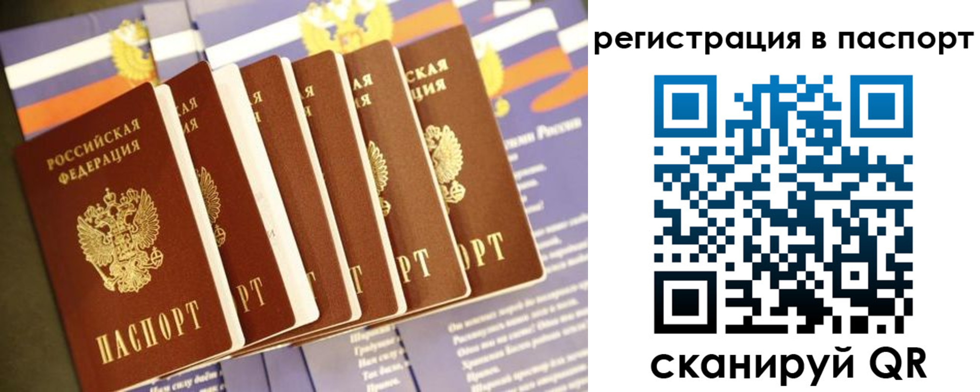 прописка ребенка в Юрьев-Польском